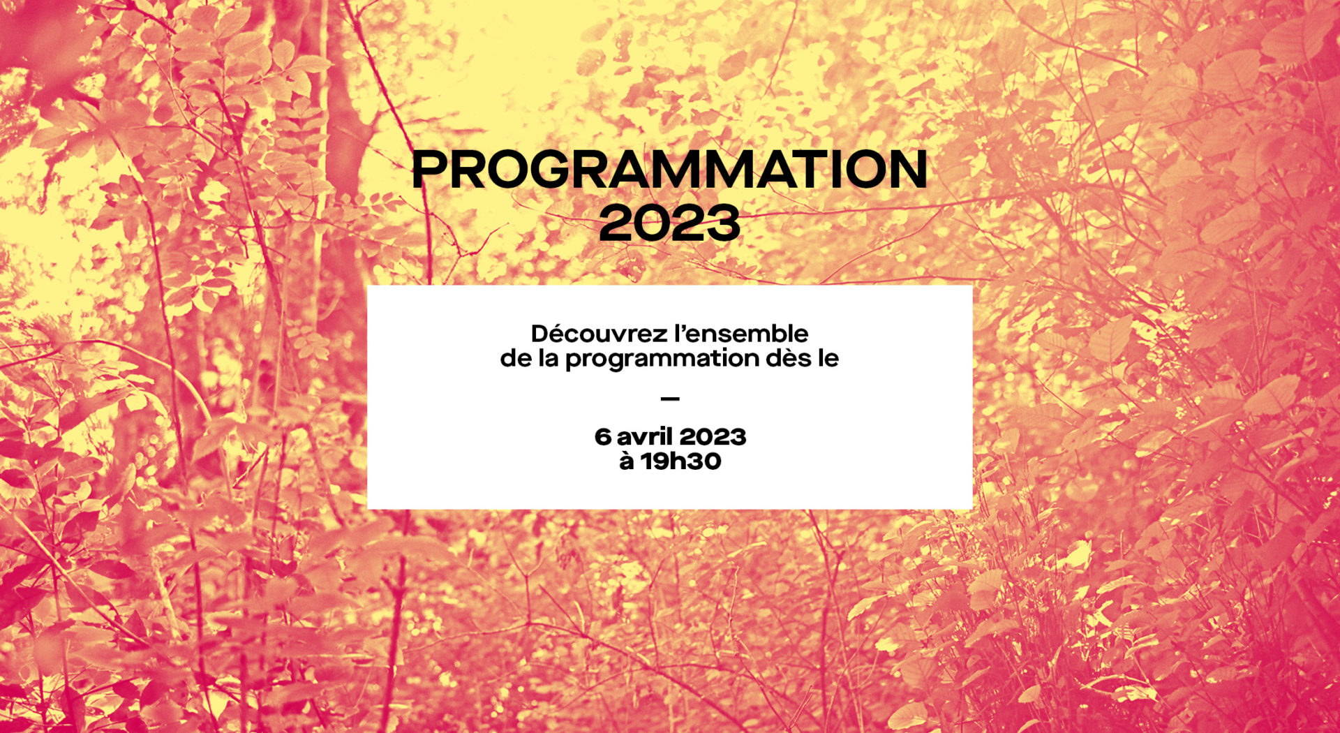 Festival d'Anjou